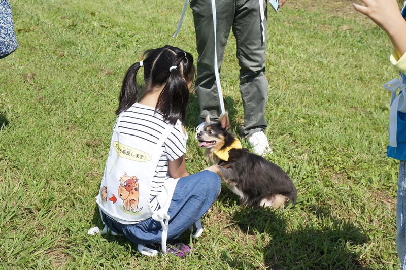 ほごいぬふれあい会